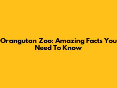 Orangutan Zoo: Amazing Facts You Need To Know