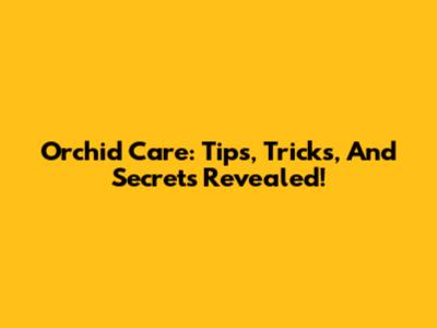 Orchid Care: Tips, Tricks, And Secrets Revealed!