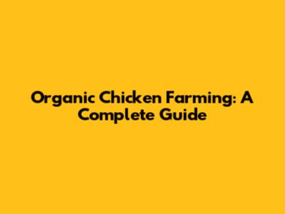 Organic Chicken Farming: A Complete Guide