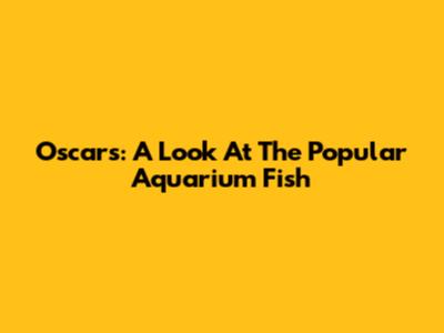 Oscars: A Look At The Popular Aquarium Fish