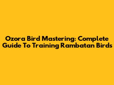 Ozora Bird Mastering: Complete Guide To Training Rambatan Birds