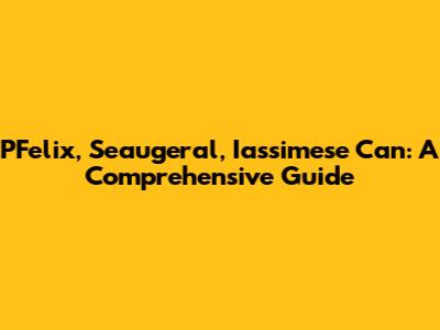 PFelix, Seaugeral, Iassimese Can: A Comprehensive Guide