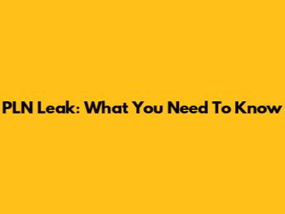PLN Leak: What You Need To Know