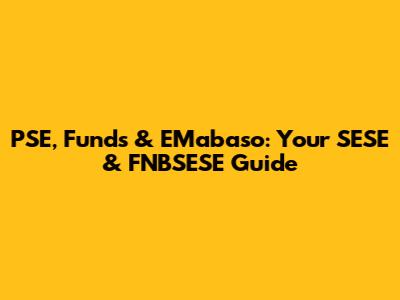 PSE, Funds & EMabaso: Your SESE & FNBSESE Guide