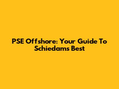 PSE Offshore: Your Guide To Schiedam's Best
