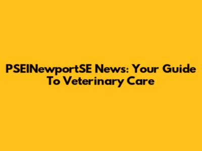 PSEINewportSE News: Your Guide To Veterinary Care