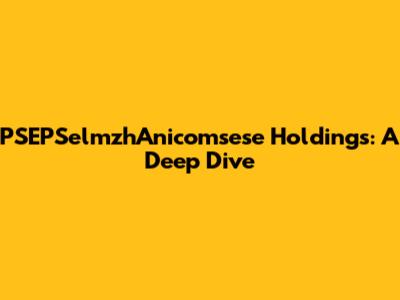 PSEPSelmzhAnicomsese Holdings: A Deep Dive