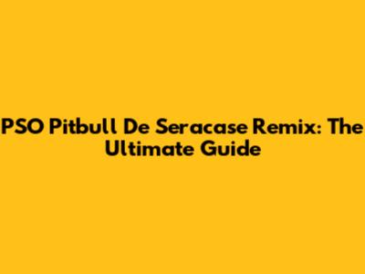 PSO Pitbull De Seracase Remix: The Ultimate Guide