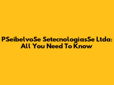 PSeibelvoSe SetecnologiasSe Ltda: All You Need To Know