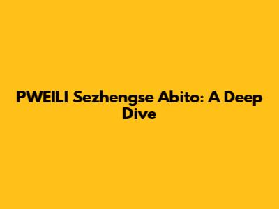 PWEILI Sezhengse Abito: A Deep Dive