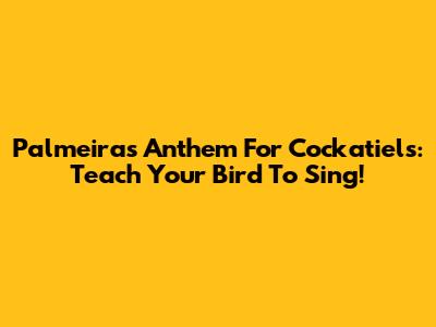Palmeiras Anthem For Cockatiels: Teach Your Bird To Sing!