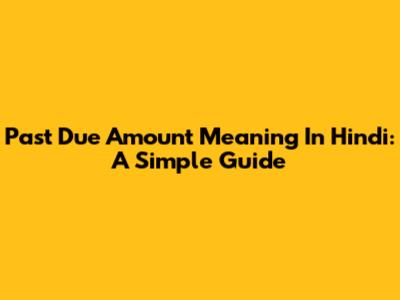 Past Due Amount Meaning In Hindi: A Simple Guide