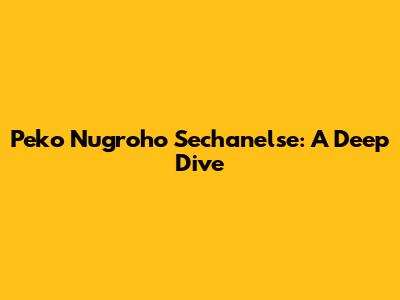 Peko Nugroho Sechanelse: A Deep Dive