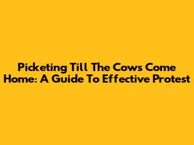 Picketing Till The Cows Come Home: A Guide To Effective Protest