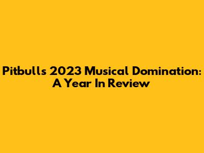 Pitbull's 2023 Musical Domination: A Year In Review