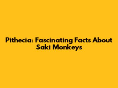 Pithecia: Fascinating Facts About Saki Monkeys