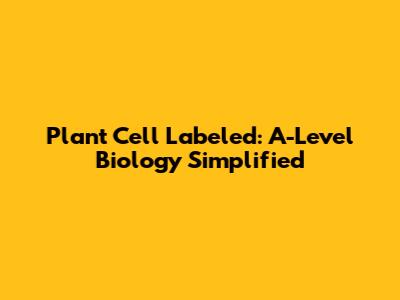 Plant Cell Labeled: A-Level Biology Simplified