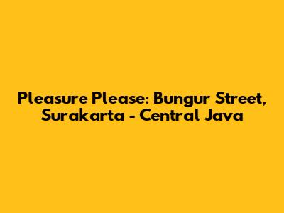 Pleasure Please: Bungur Street, Surakarta - Central Java