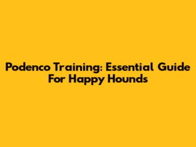 Podenco Training: Essential Guide For Happy Hounds