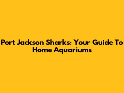 Port Jackson Sharks: Your Guide To Home Aquariums