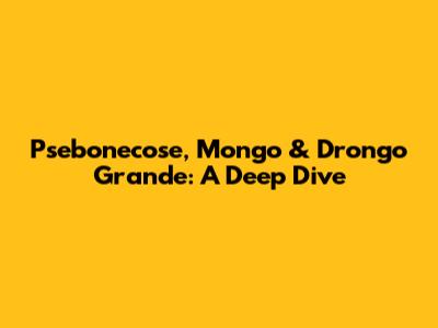 Psebonecose, Mongo & Drongo Grande: A Deep Dive