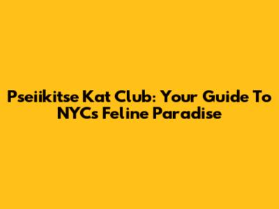 Pseiikitse Kat Club: Your Guide To NYC's Feline Paradise