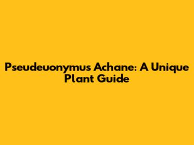 Pseudeuonymus Achane: A Unique Plant Guide