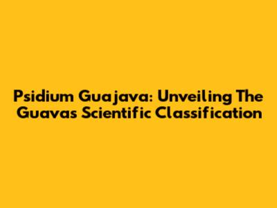 Psidium Guajava: Unveiling The Guava's Scientific Classification