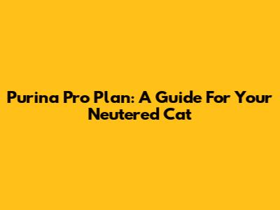 Purina Pro Plan: A Guide For Your Neutered Cat