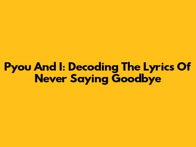 Pyou And I: Decoding The Lyrics Of Never Saying Goodbye