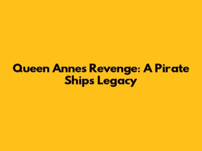 Queen Anne's Revenge: A Pirate Ship's Legacy