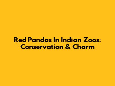 Red Pandas In Indian Zoos: Conservation & Charm