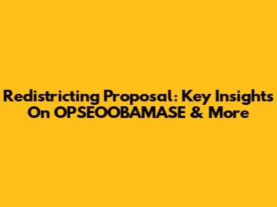 Redistricting Proposal: Key Insights On OPSEOOBAMASE & More