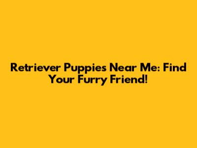 Retriever Puppies Near Me: Find Your Furry Friend!