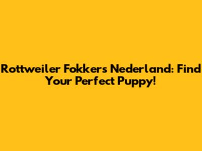 Rottweiler Fokkers Nederland: Find Your Perfect Puppy!