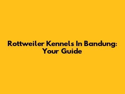 Rottweiler Kennels In Bandung: Your Guide