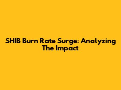 SHIB Burn Rate Surge: Analyzing The Impact