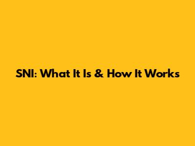 SNI: What It Is & How It Works
