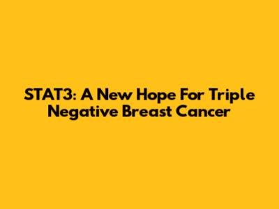 STAT3: A New Hope For Triple Negative Breast Cancer