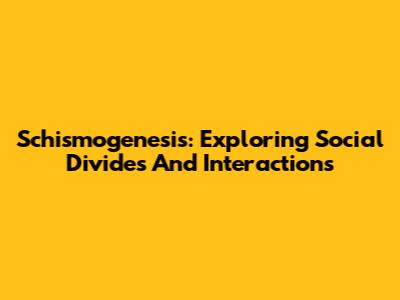 Schismogenesis: Exploring Social Divides And Interactions
