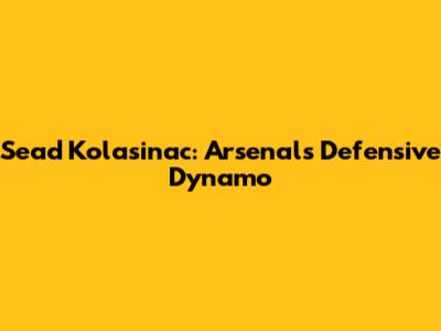 Sead Kolasinac: Arsenal's Defensive Dynamo