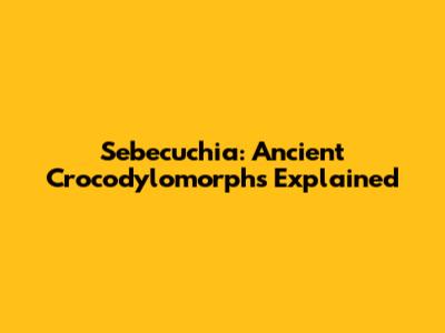 Sebecuchia: Ancient Crocodylomorphs Explained