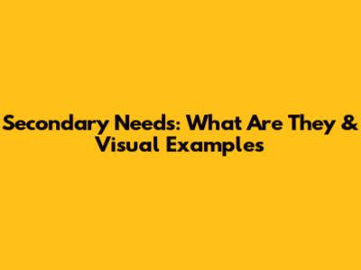 Secondary Needs: What Are They & Visual Examples