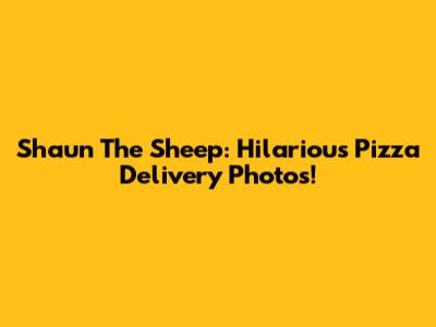 Shaun The Sheep: Hilarious Pizza Delivery Photos!