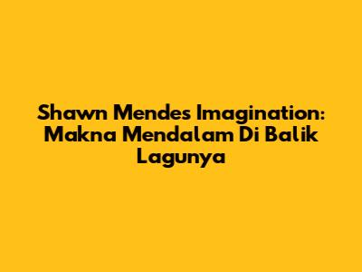 Shawn Mendes Imagination: Makna Mendalam Di Balik Lagunya