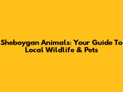 Sheboygan Animals: Your Guide To Local Wildlife & Pets