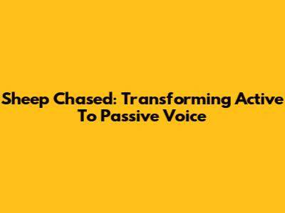 Sheep Chased: Transforming Active To Passive Voice