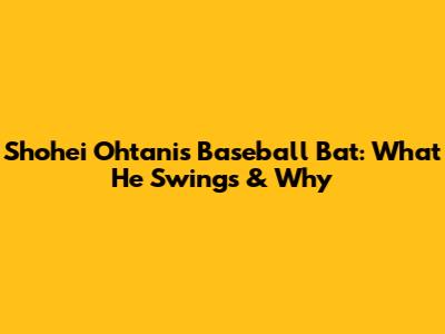 Shohei Ohtani's Baseball Bat: What He Swings & Why