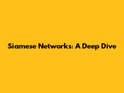 Siamese Networks: A Deep Dive