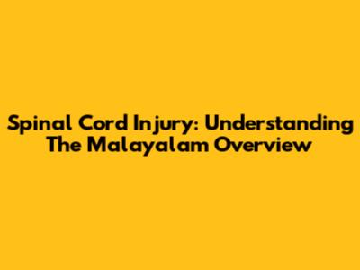 Spinal Cord Injury: Understanding The Malayalam Overview